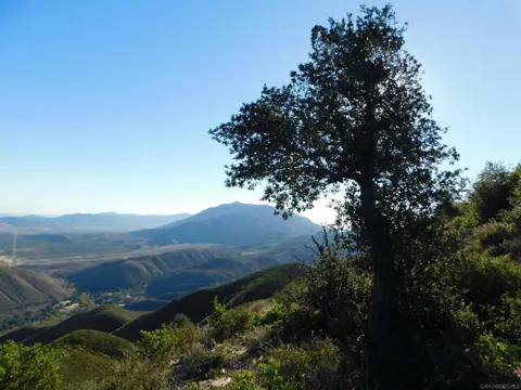 1 Mountain View
