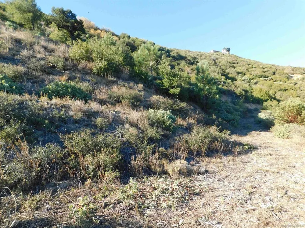 1 Mountain View Julian, CA 92036