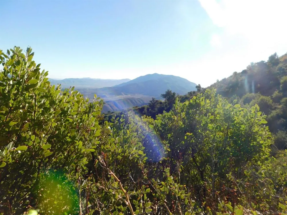 1 Mountain View Julian, CA 92036