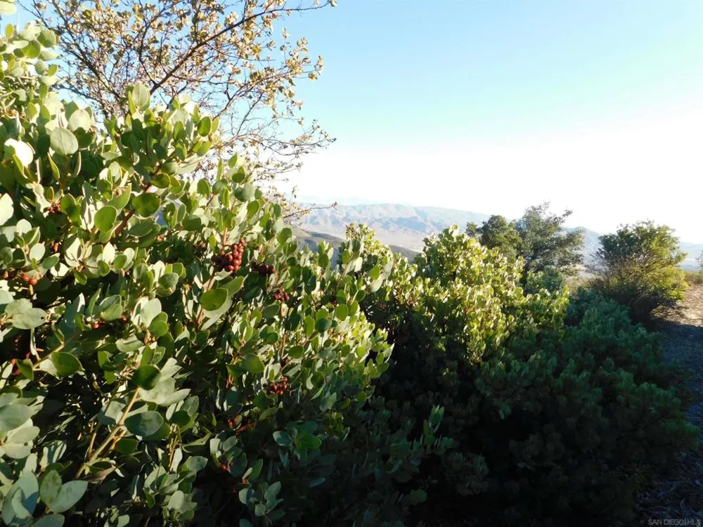 1 Mountain View Julian, CA 92036