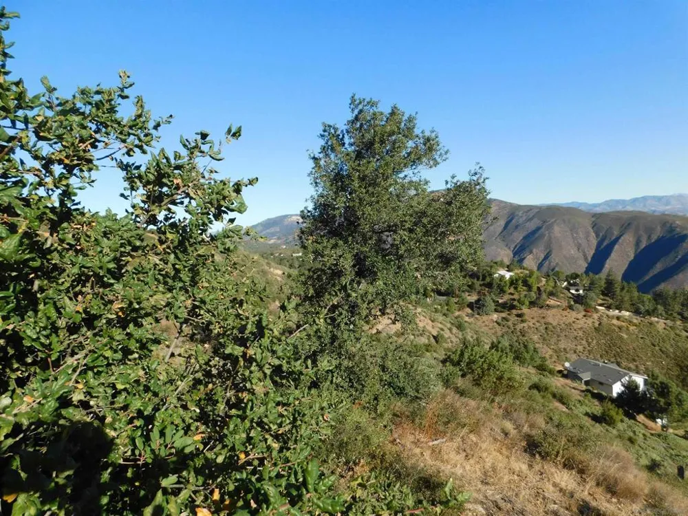 1 Mountain View Julian, CA 92036