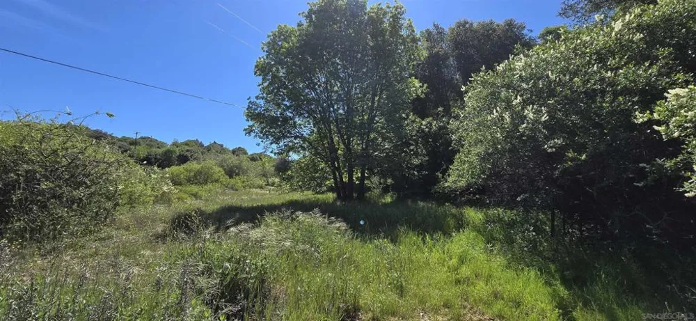 38 Creek Rd. Julian, CA 92036