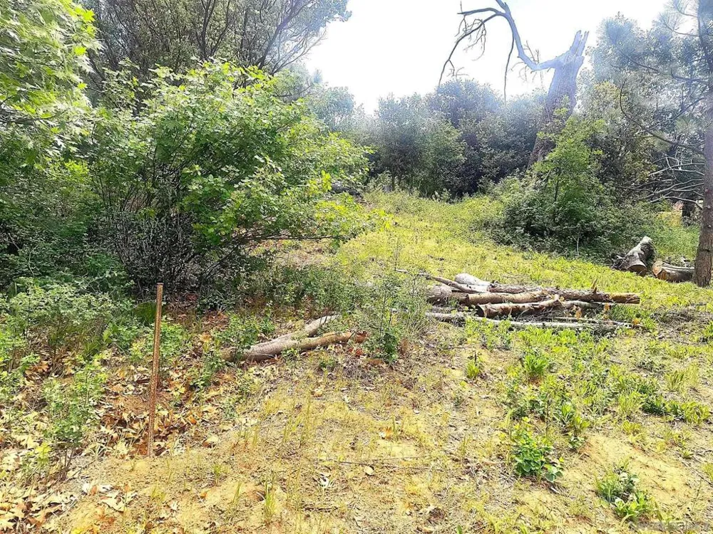 Smokey Lane Julian, CA 92036