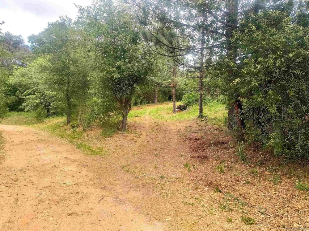 Smokey Lane Julian, CA 92036