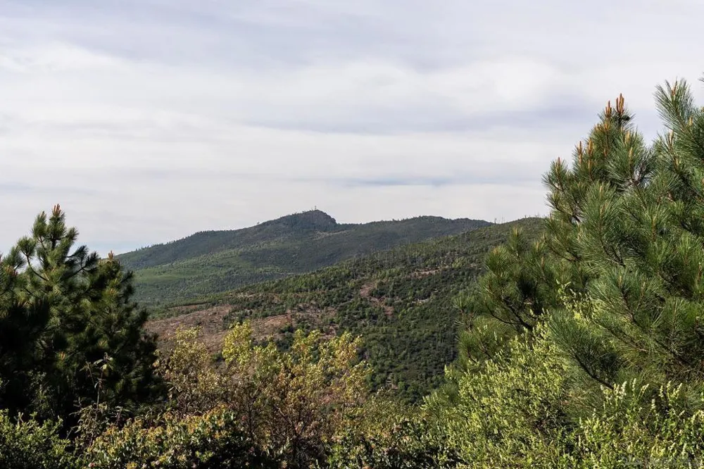 15962 North Peak Rd. Julian, CA 92036
