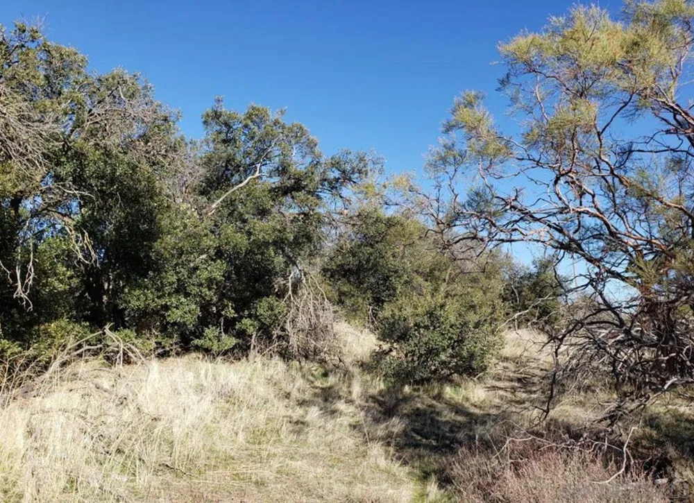0 Anza, CA 92539