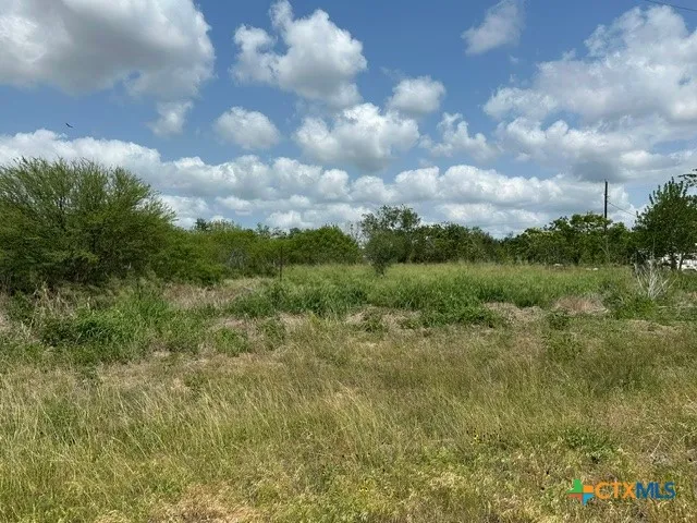 2506 Farm Road Fannin, TX 77960