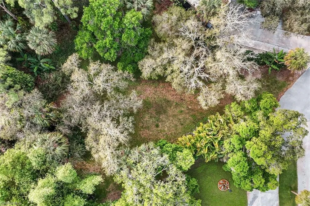 28038 E Brook Circle Bonita Springs, FL 34135