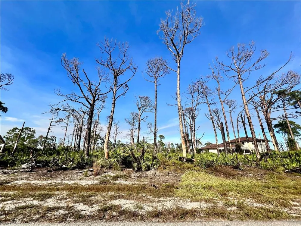 6 Adrift Court Placida, FL 33946