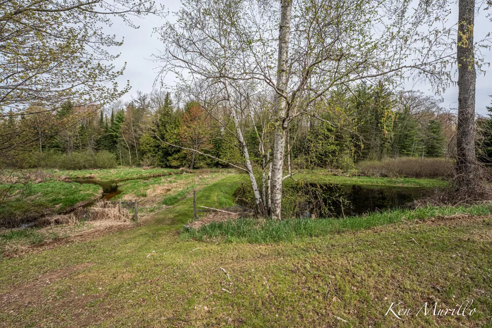 1519 Roscommon Road Roscommon, MI 48653