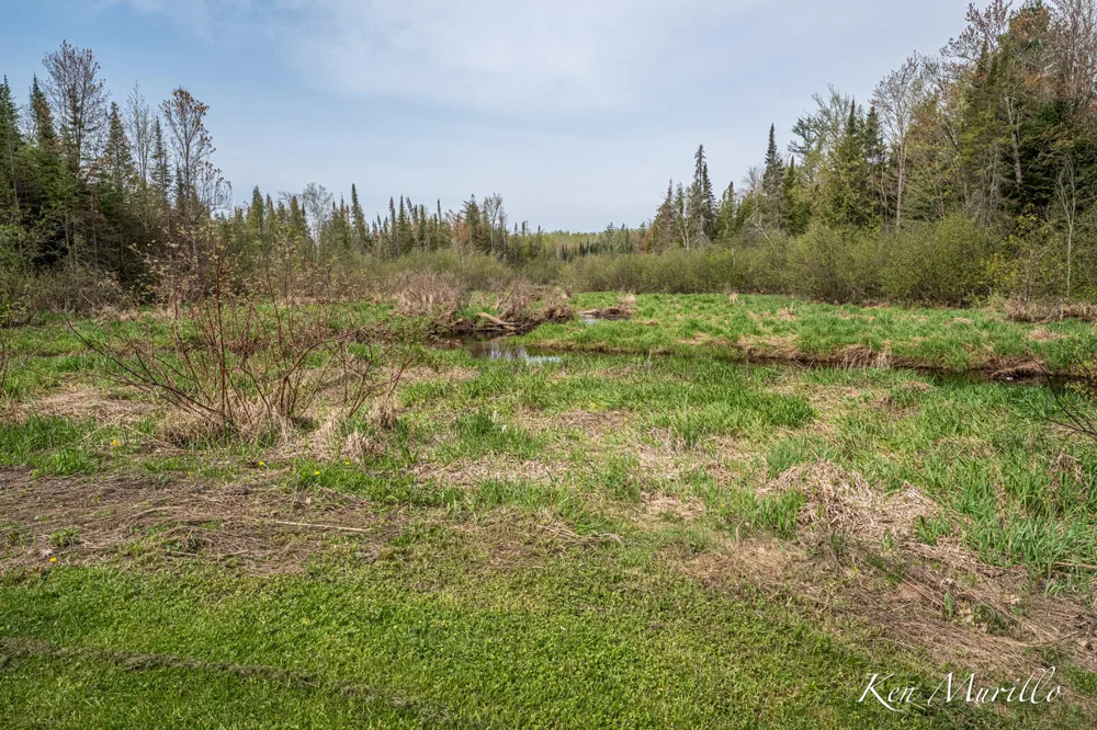 1519 Roscommon Road Roscommon, MI 48653