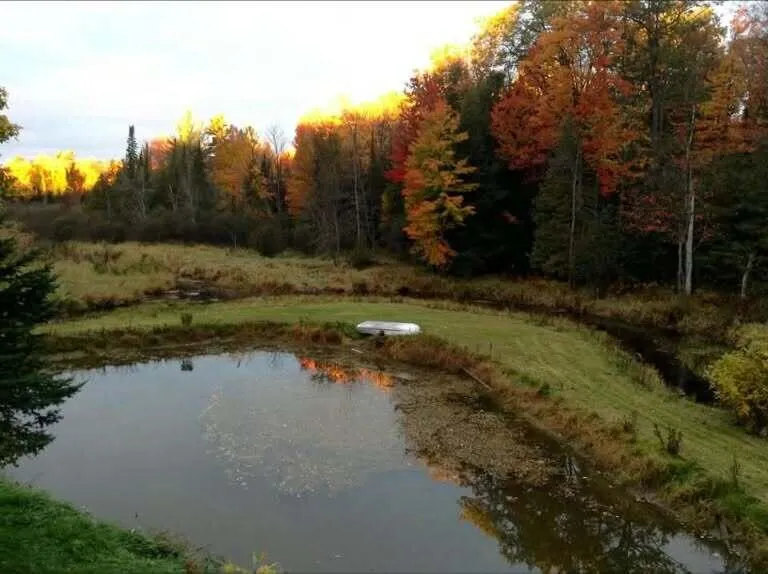 1519 Roscommon Road Roscommon, MI 48653