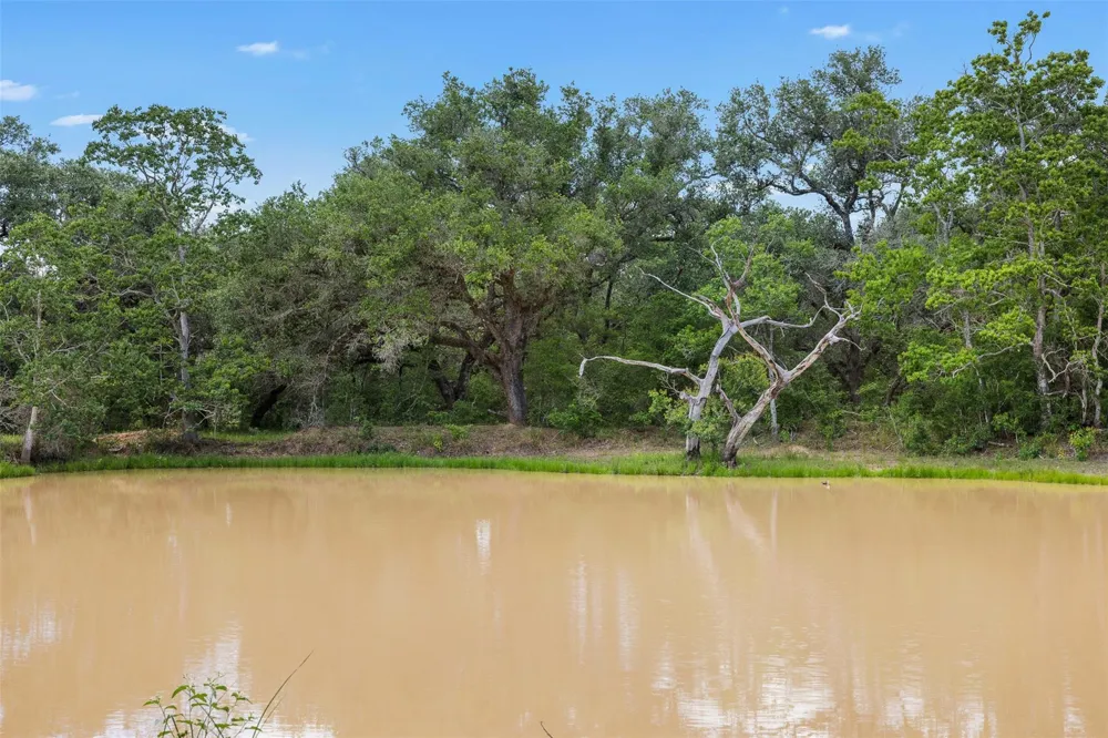 1222 Cr 2152 Rock Island, TX 77470