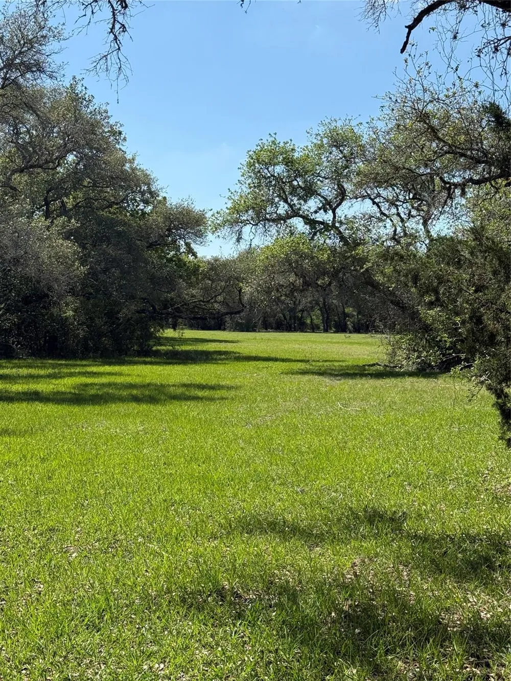 1222 Cr 2152 Rock Island, TX 77470
