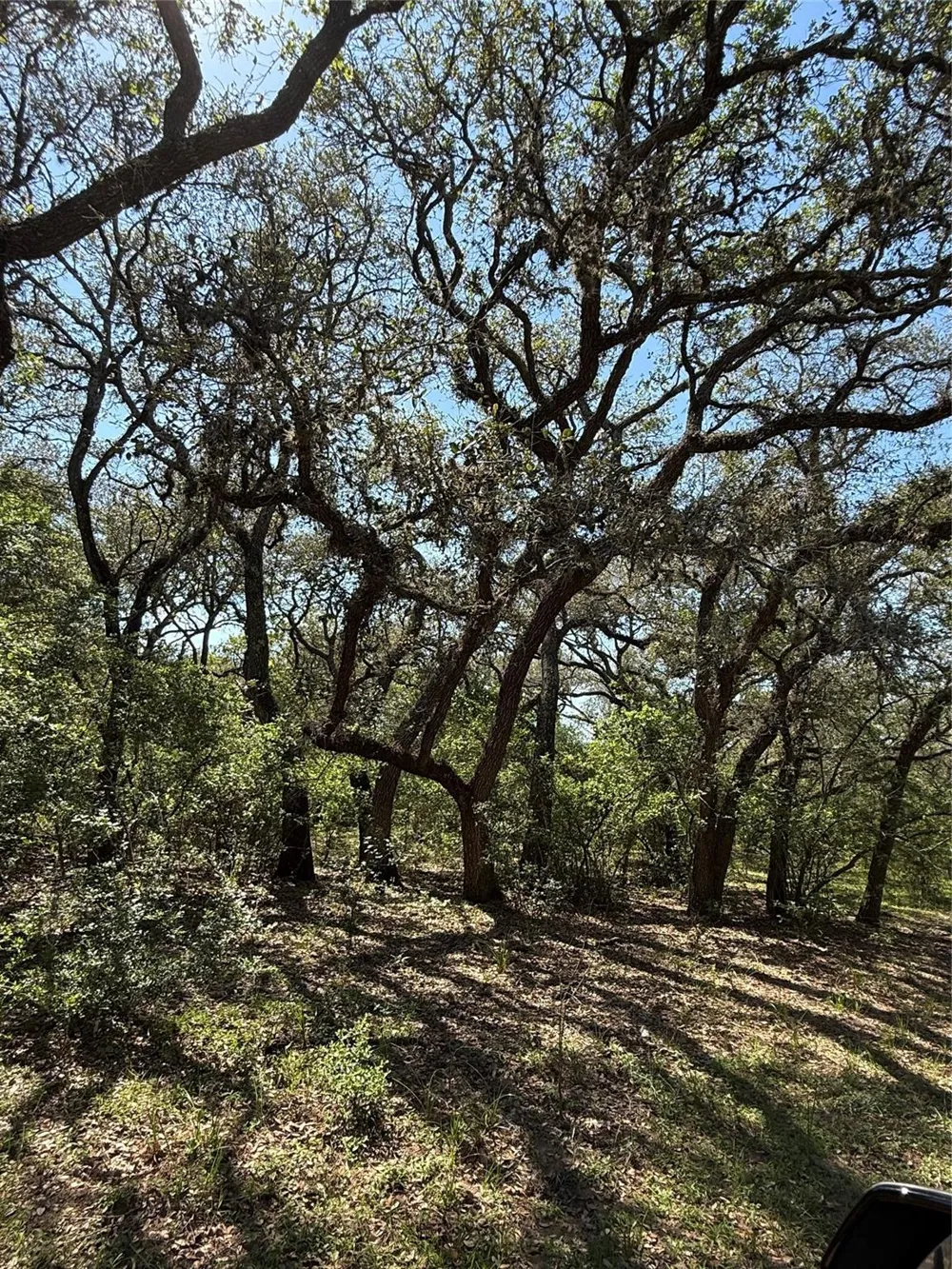 1222 Cr 2152 Rock Island, TX 77470