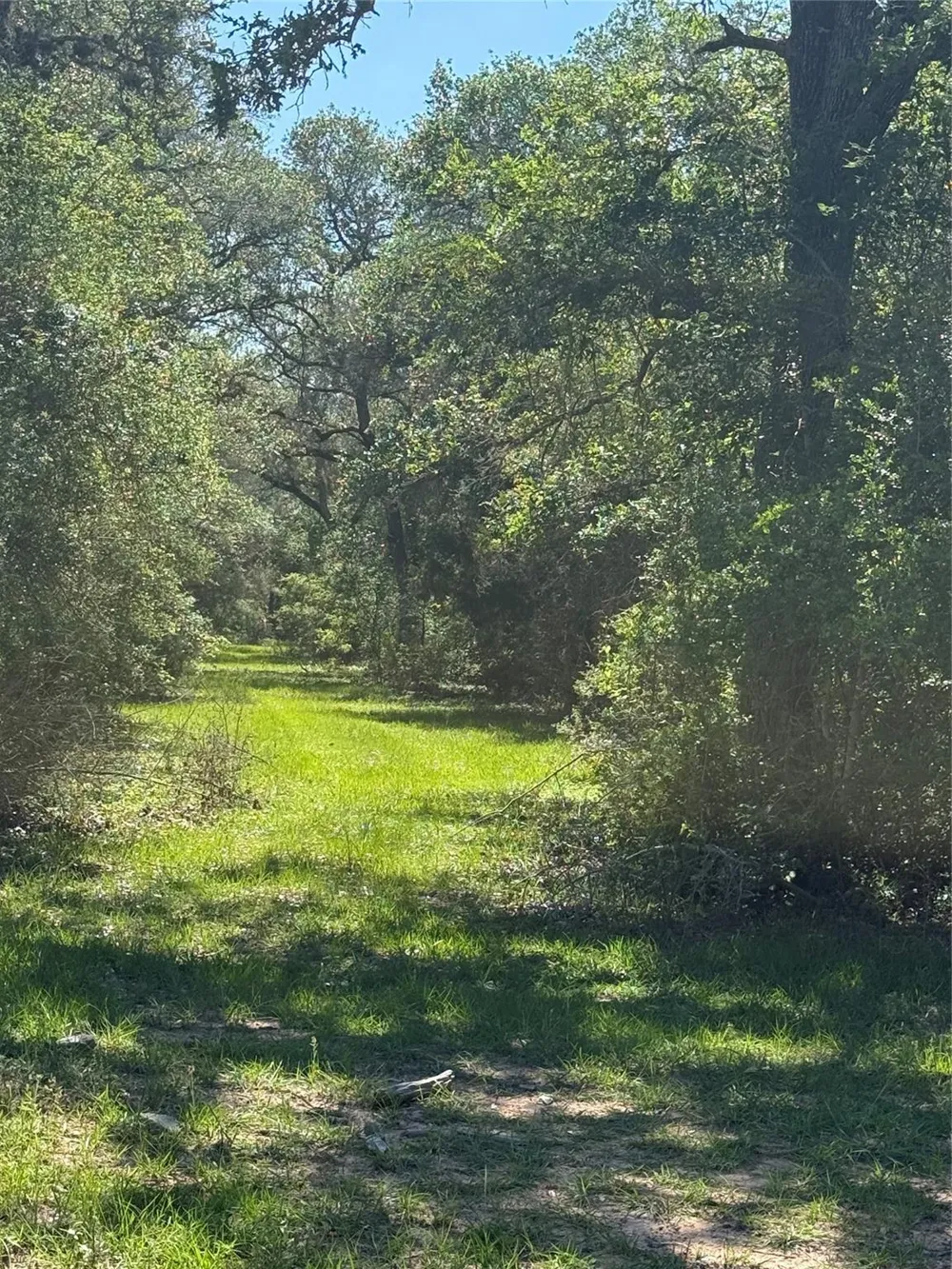 1222 Cr 2152 Rock Island, TX 77470