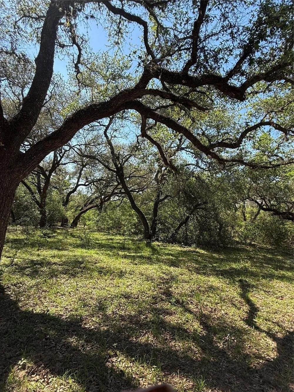 1222 Cr 2152 Rock Island, TX 77470
