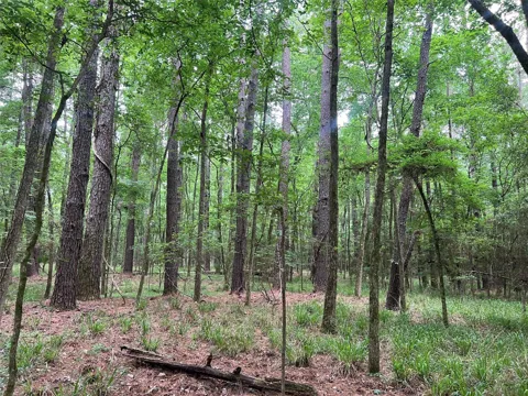 Wilderness Road