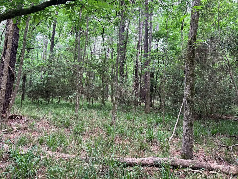Wilderness Road Point Blank, TX 77364