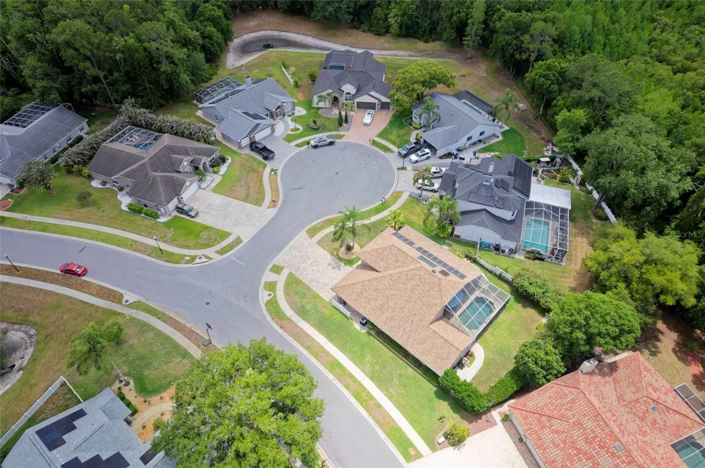 8115 MONTOCK COURT Trinity, FL 34655