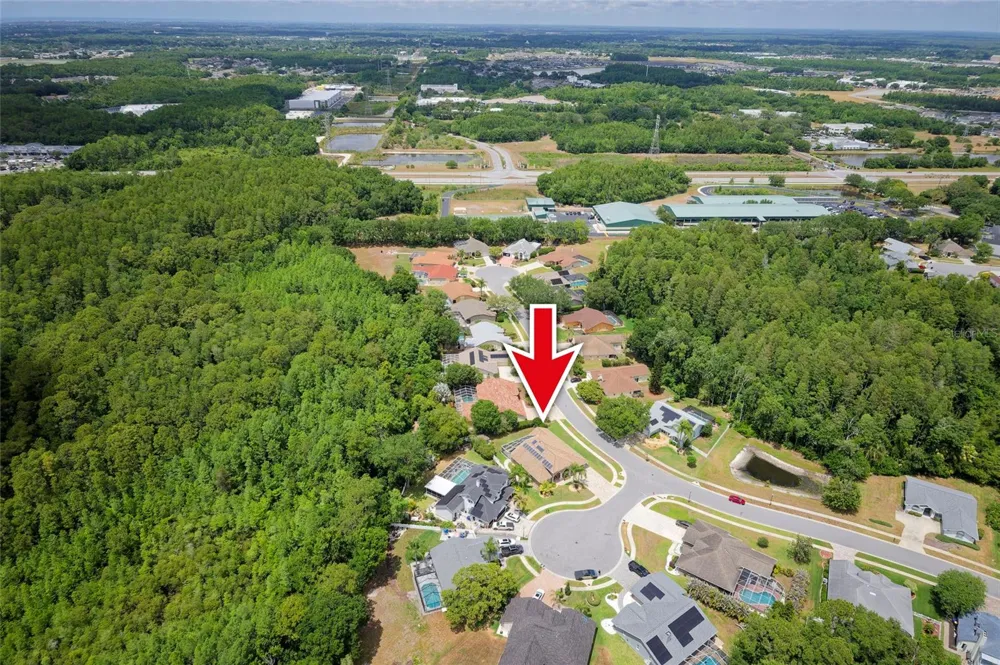 8115 MONTOCK COURT Trinity, FL 34655