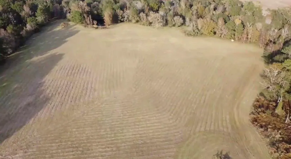 Kickapoo Road Groveton, TX 75845