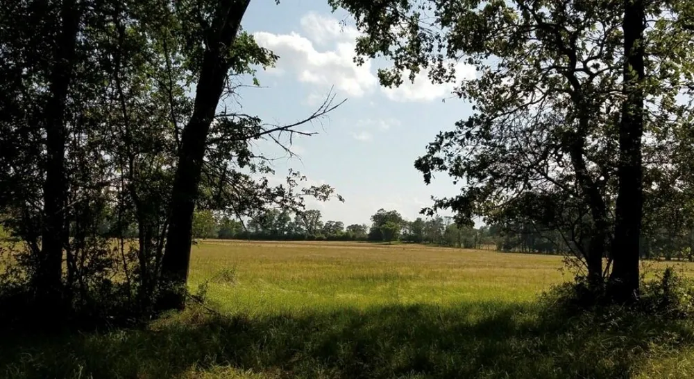 Kickapoo Road Groveton, TX 75845