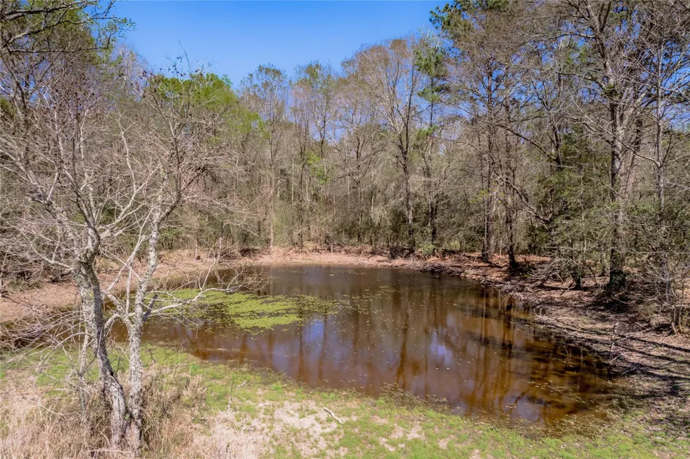 Kickapoo Road Groveton, TX 75845