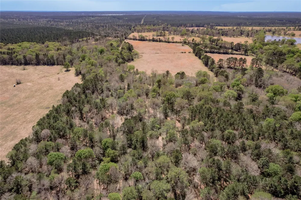 Kickapoo Road Groveton, TX 75845