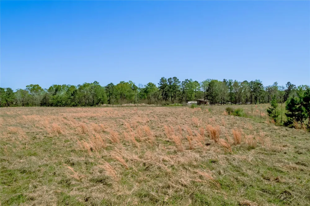Kickapoo Road Groveton, TX 75845