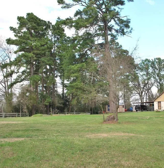 E Oak Ridge Drive Point Blank, TX 77364