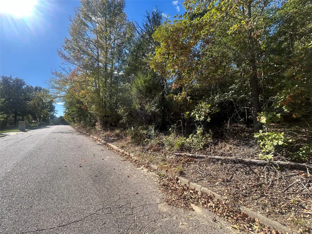 11 Bayshore Drive Athens, TX 75752