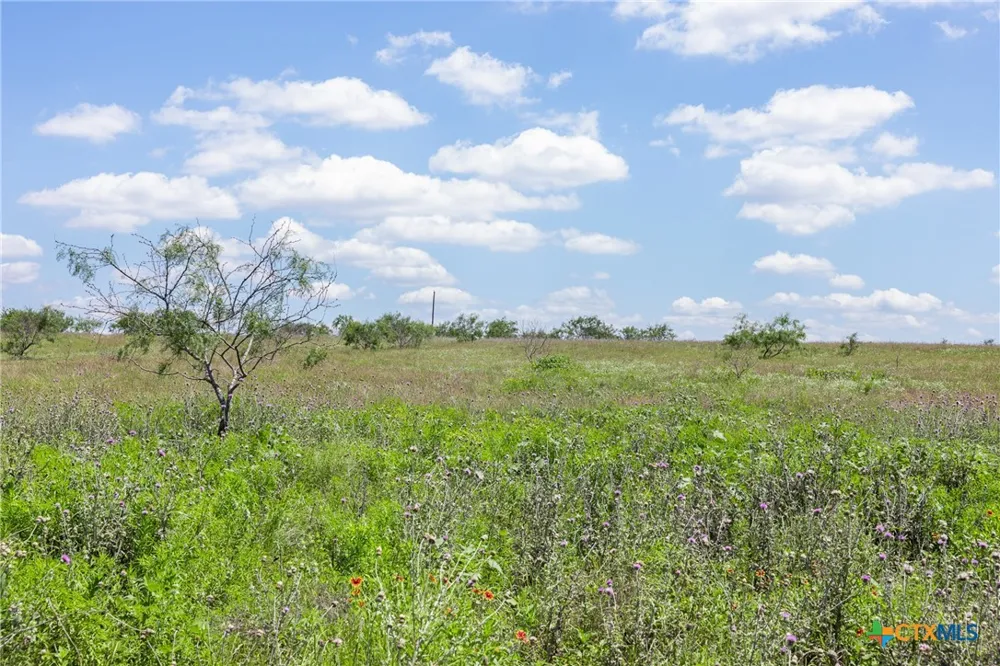 4 HWY 36 Rogers, TX 76569