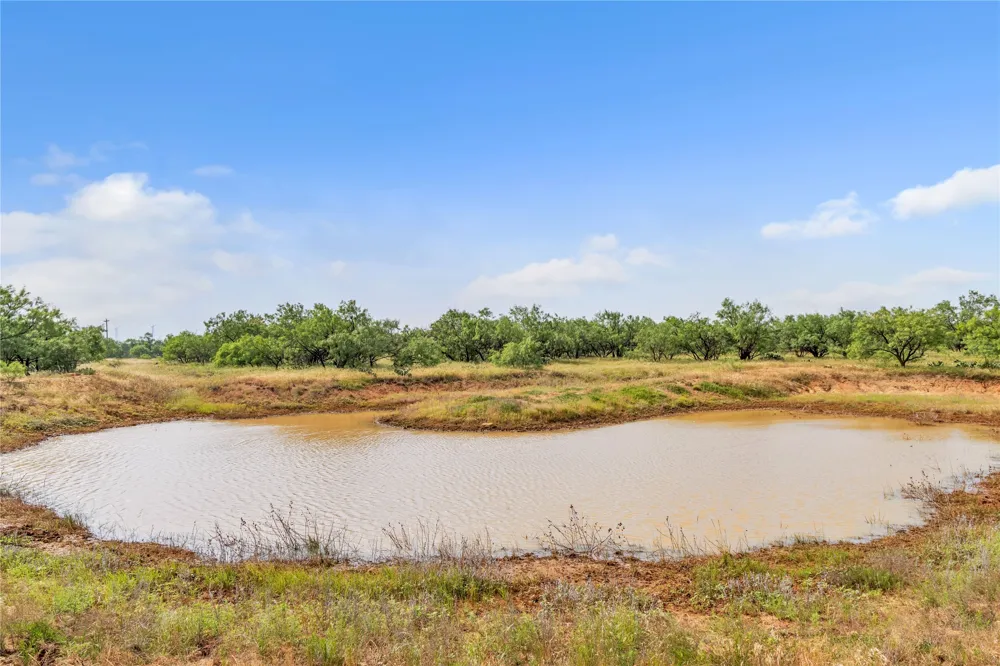 14175 State Highway 6 Moran, TX 76464