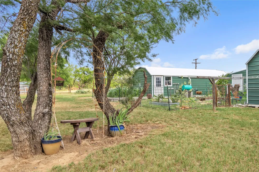 14175 State Highway 6 Moran, TX 76464