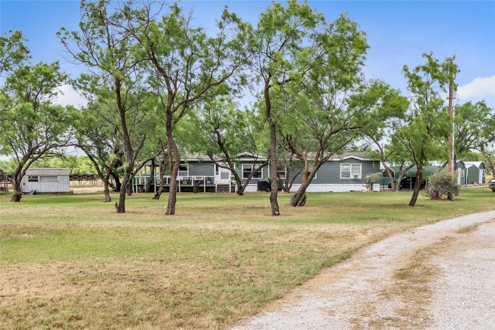 14175 State Highway 6 Moran, TX 76464
