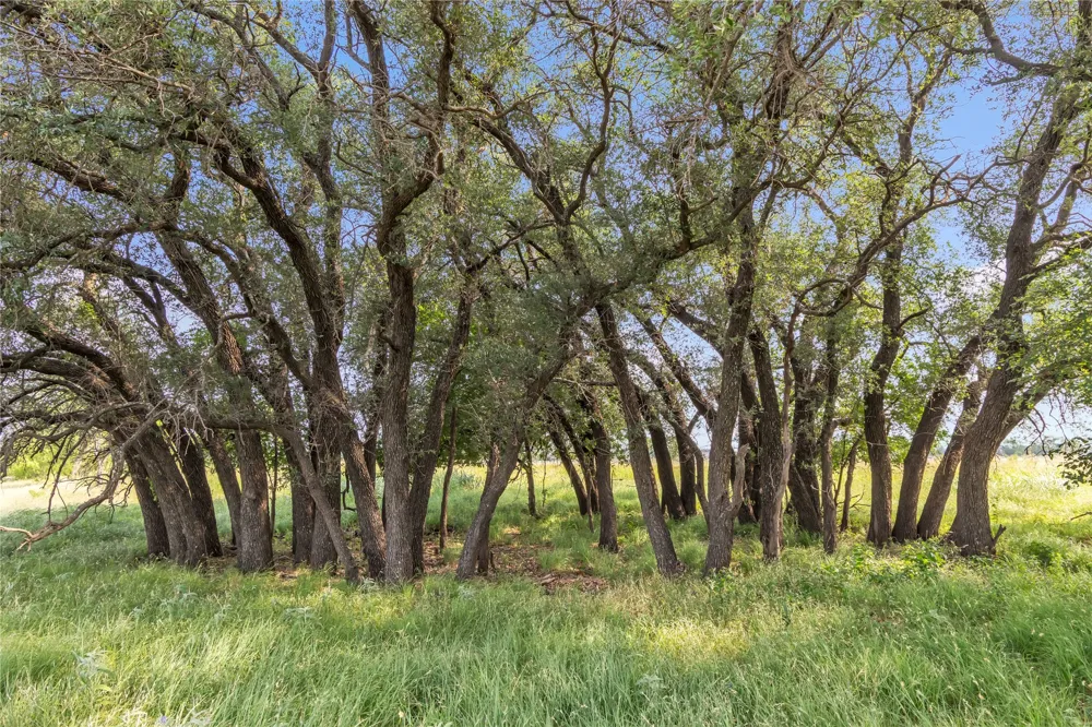 14175 State Highway 6 Moran, TX 76464