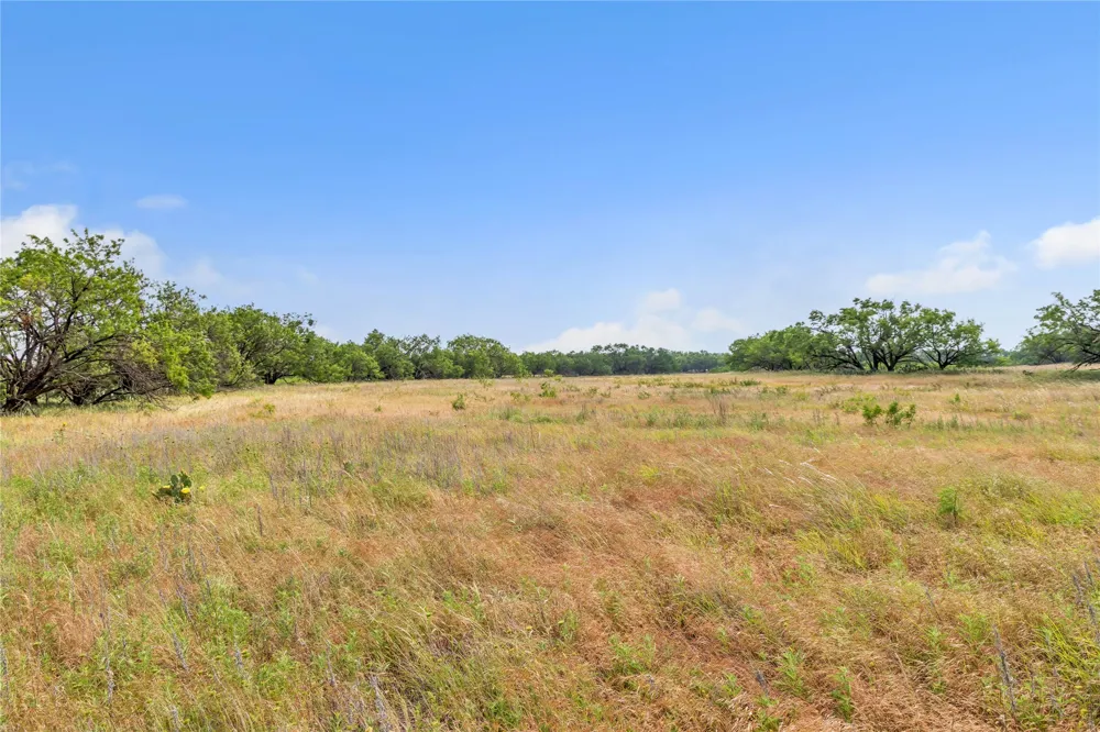 14175 State Highway 6 Moran, TX 76464