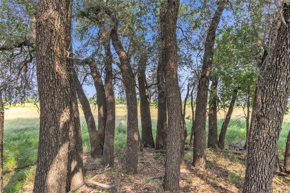 14175 State Highway 6 Moran, TX 76464