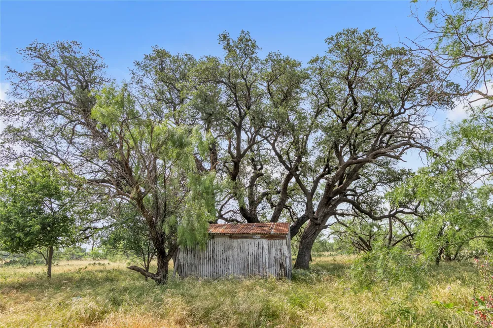 14175 State Highway 6 Moran, TX 76464
