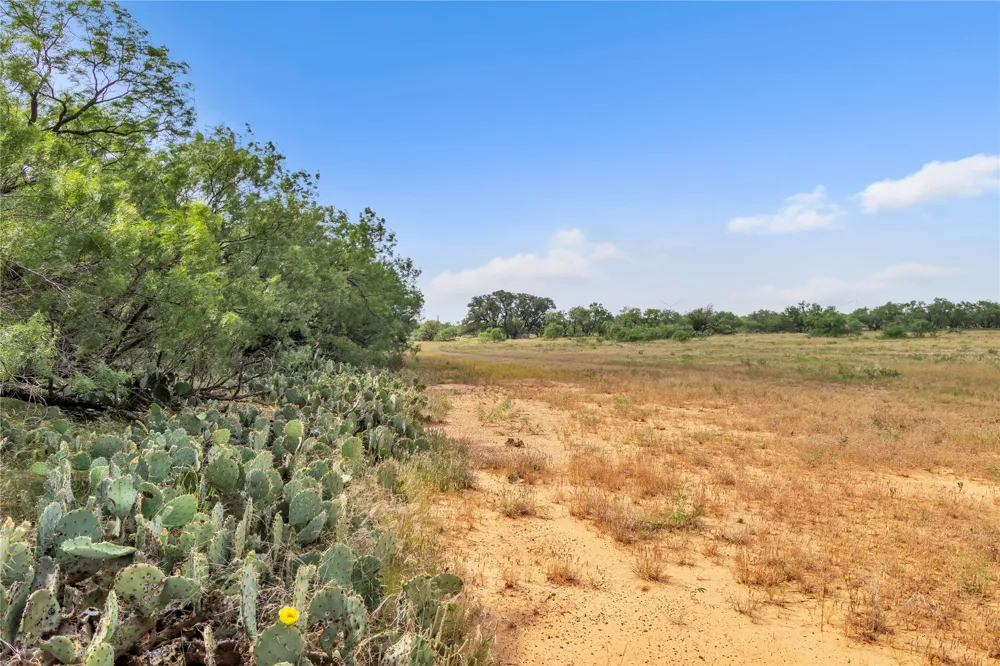 14175 State Highway 6 Moran, TX 76464