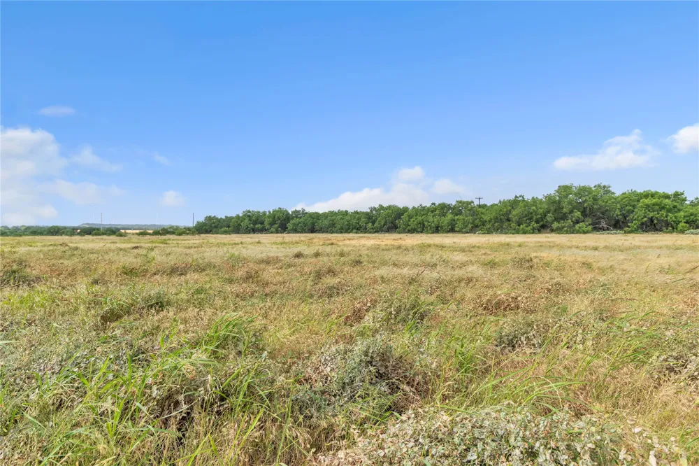 14175 State Highway 6 Moran, TX 76464