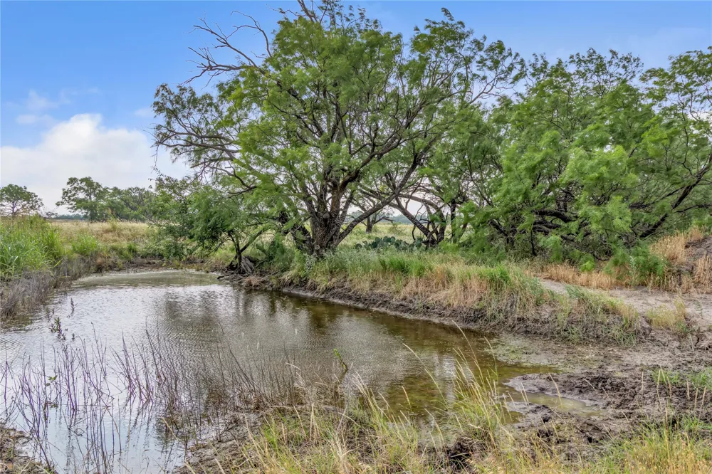 14175 State Highway 6 Moran, TX 76464