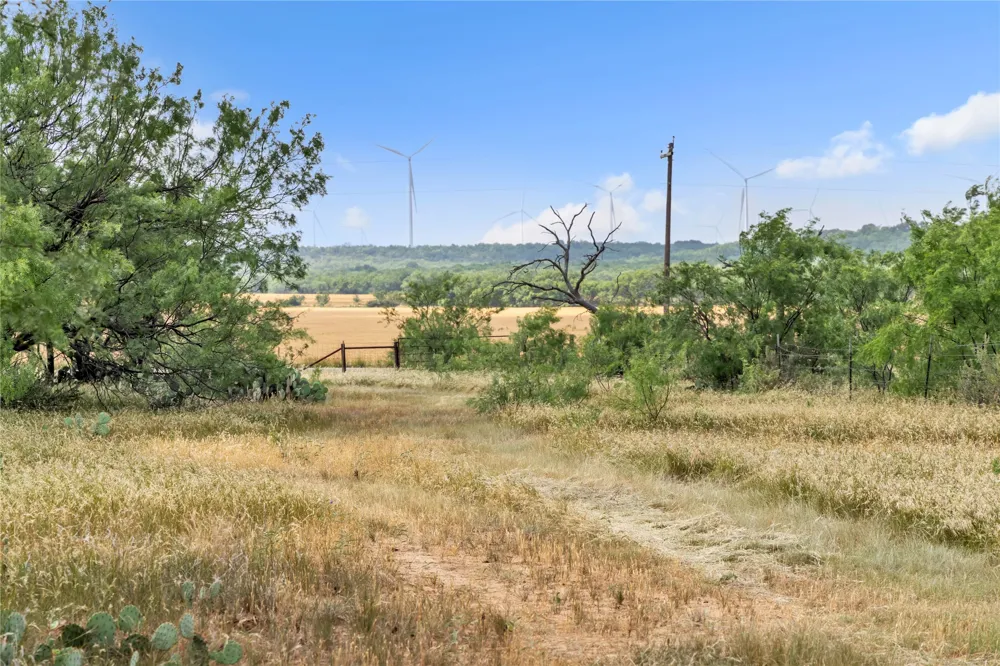 14175 State Highway 6 Moran, TX 76464