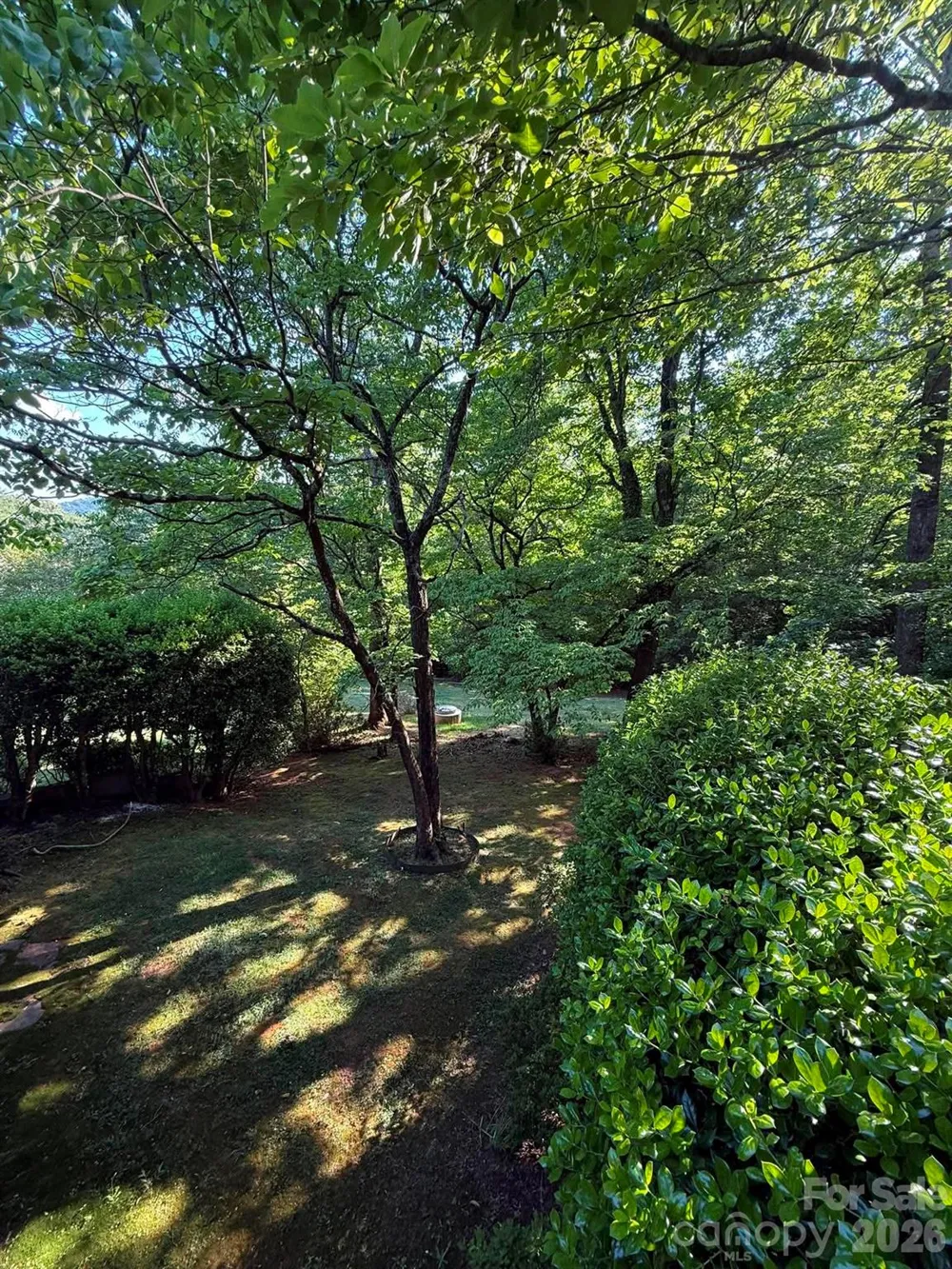 2 Hunting Country Trail Tryon, NC 28782