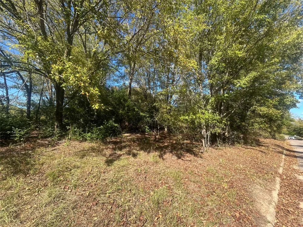 9 Bayshore Drive Athens, TX 75752
