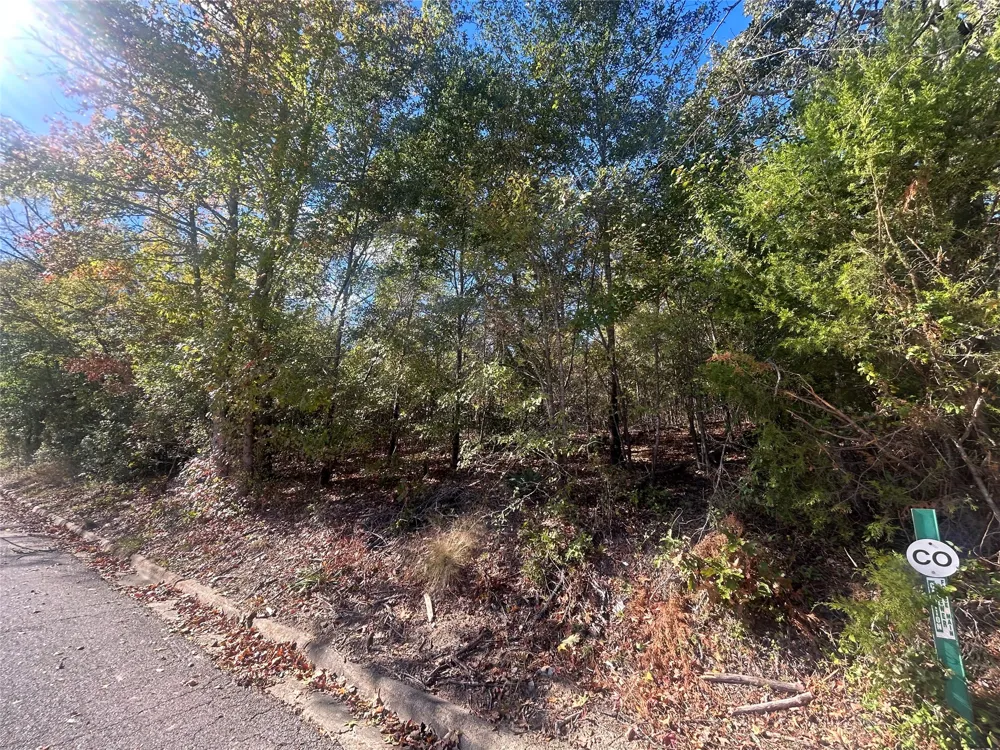 9 Bayshore Drive Athens, TX 75752