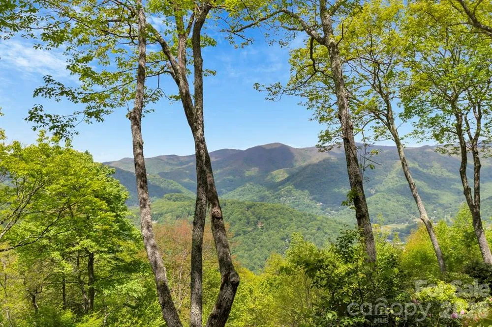 35 Falcon Crest Loop Maggie Valley, NC 28751