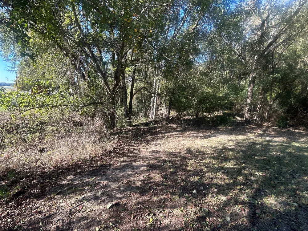 Lake Lane Eustace, TX 75124