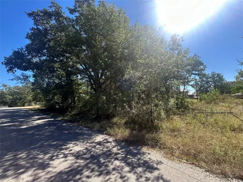 Bluebonnet Drive